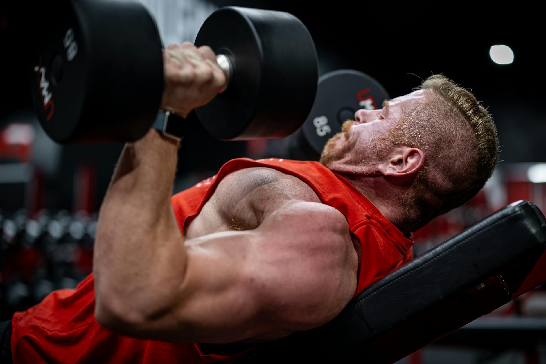 Close up of a muscular man training with dumbbells
